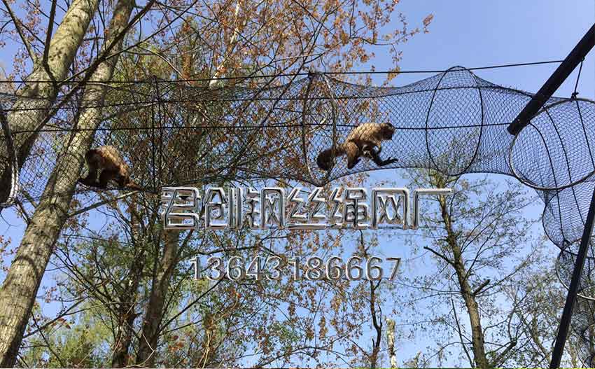 不銹鋼繩網(wǎng)