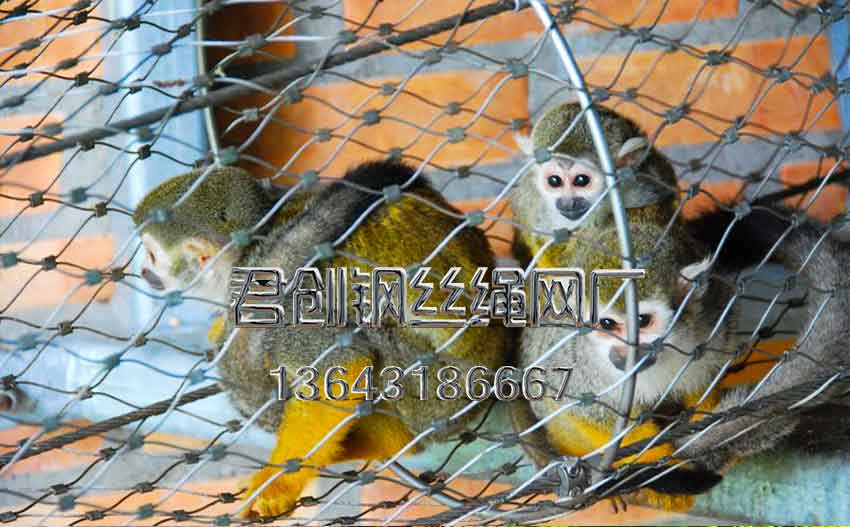 猴子圍欄鋼絲繩網(wǎng)